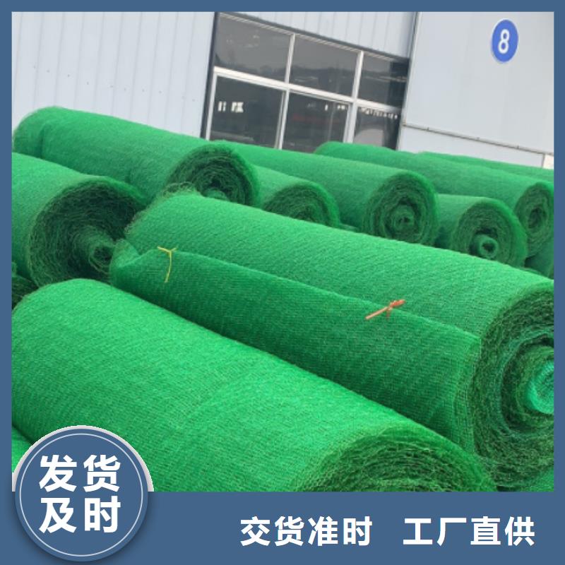 三維植被網防護虹吸排水收集系統工廠批發