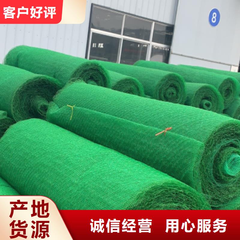 三維土工網(wǎng)墊廠家供應(yīng)邊坡復(fù)綠