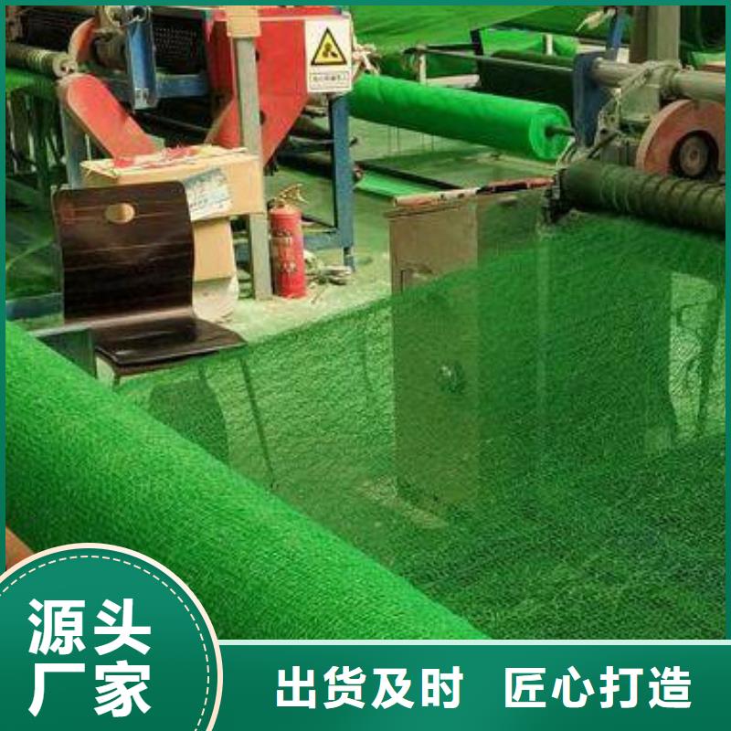 三維植被網廠家定制價