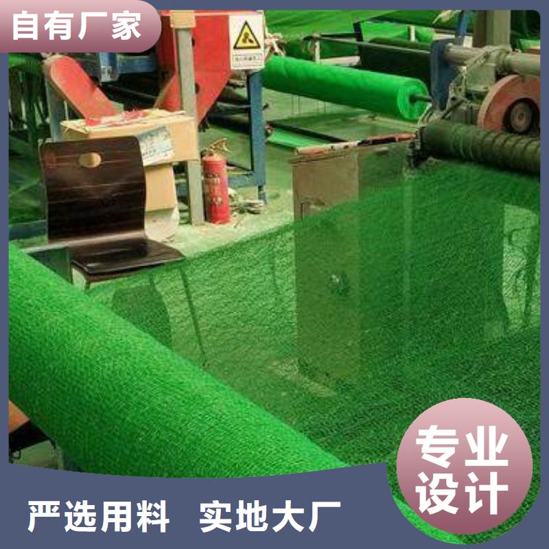 三維土工網(wǎng)墊工廠價(jià)