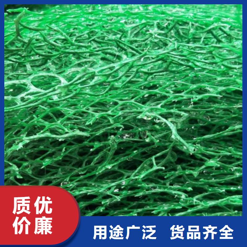 三維植被網(wǎng)水泥化糞池廠家案例