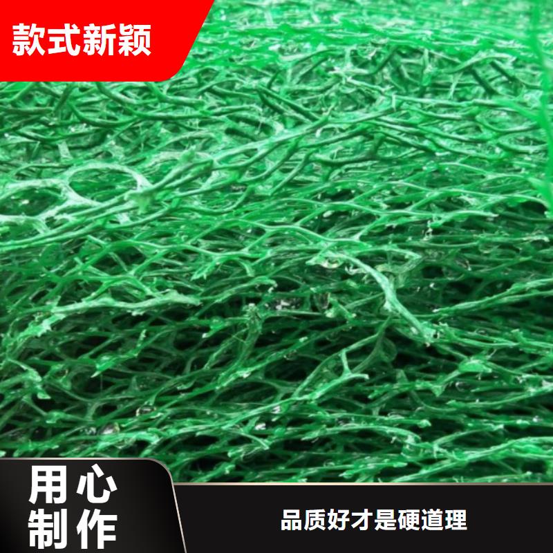 三維植被網化糞池水泥物流配送