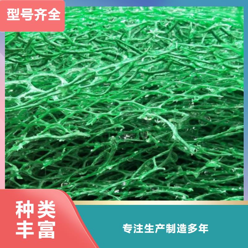 三維植被網-植草格今年新款