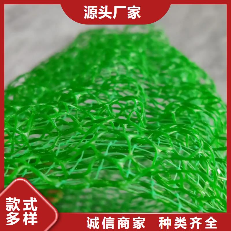 三維植被網植草格自營品質有保障