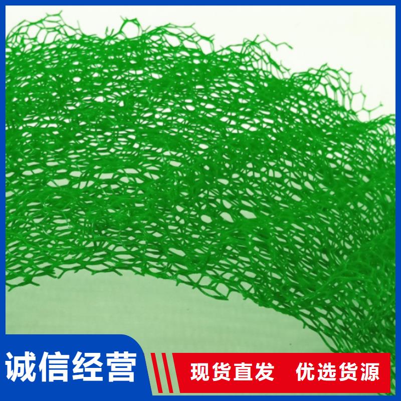 三維植被網廠家直供