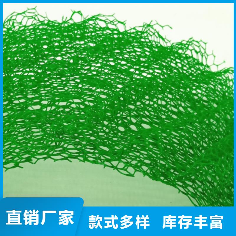 三維植被網植草格自營品質有保障