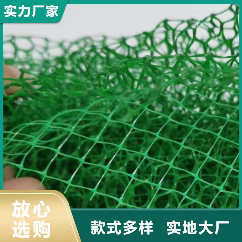 三維土工網墊誠信廠家