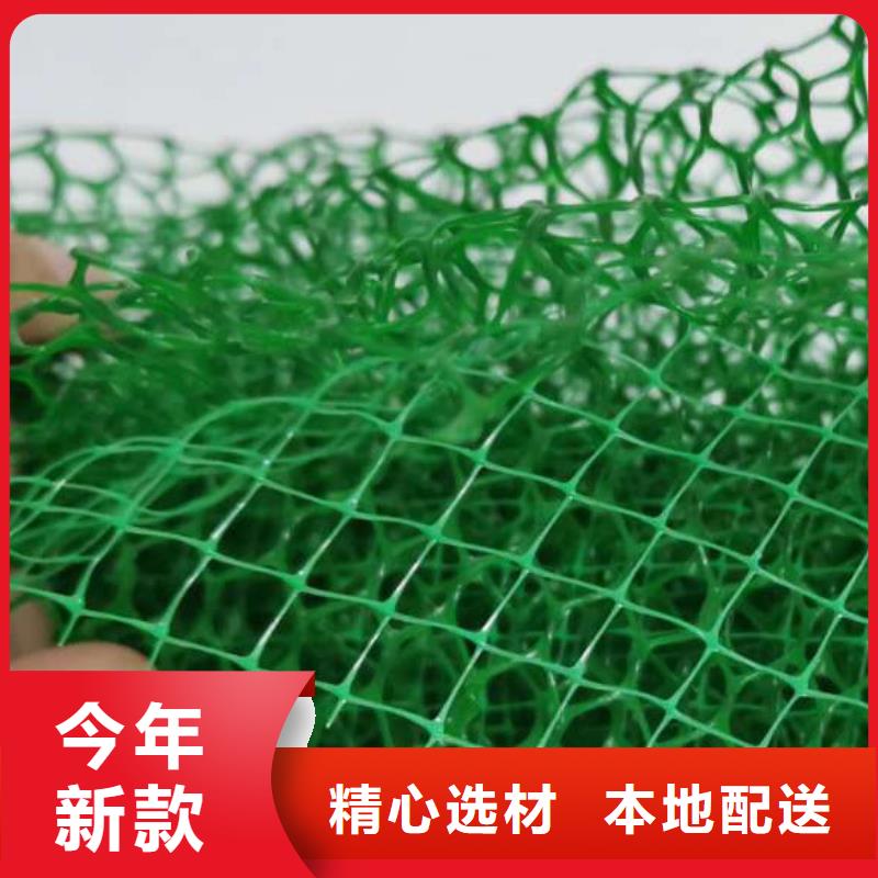 【三維植被網(wǎng)植草格廠家定制】