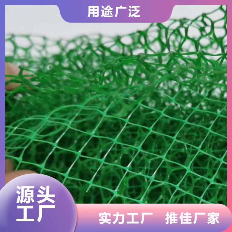 三维植被网【植草格】懂您所需