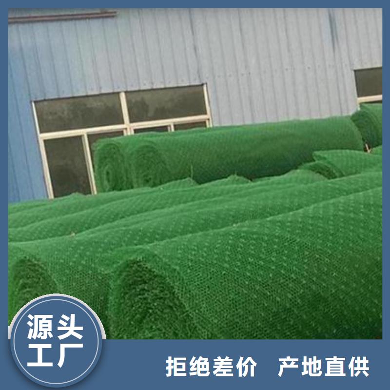 三維植被網(wǎng)【防護(hù)虹吸排水收集系統(tǒng)】支持定制加工