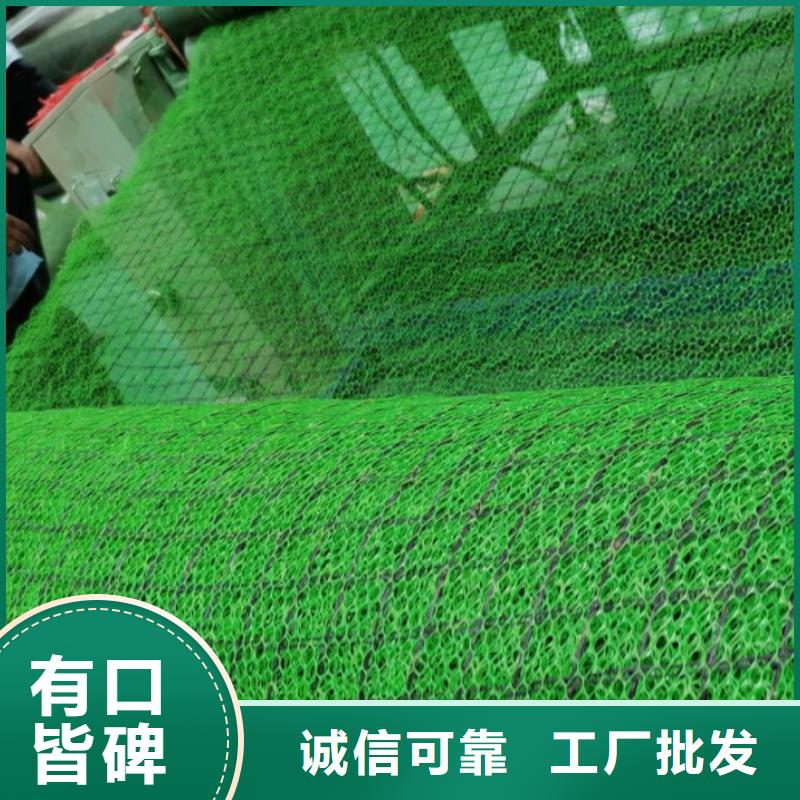 三維植被網化糞池水泥精工制作