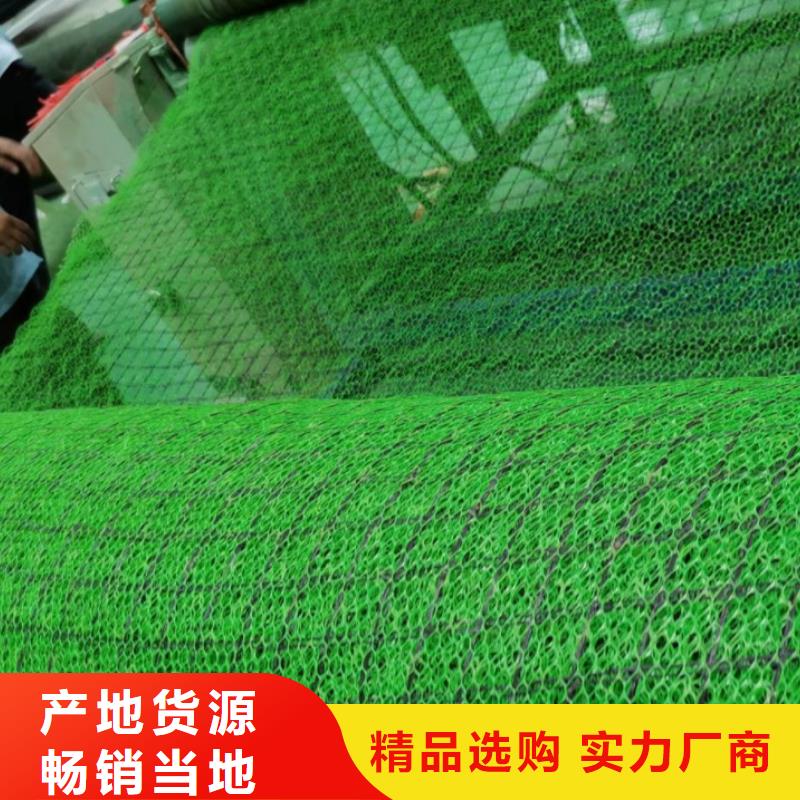 三维植被网_【防护虹吸排水收集系统】工厂自营当地品牌
