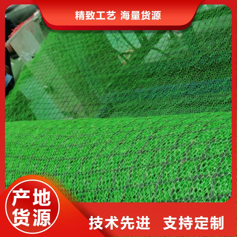 三維植被網_植草格為您提供一站式采購服務