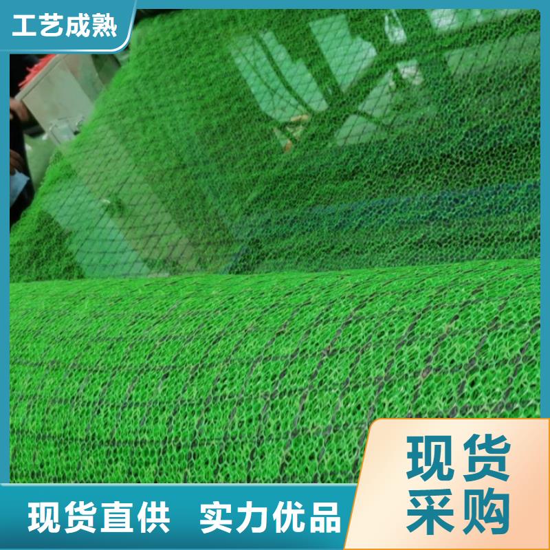 三維植被網(wǎng)價格
