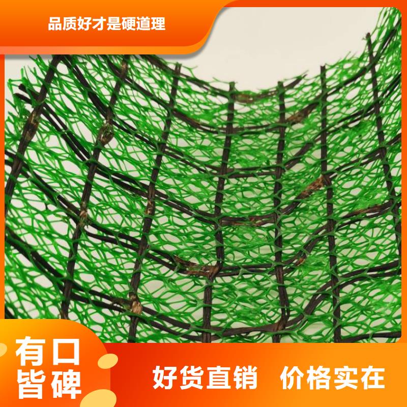 【三維植被網排水板廠家直銷規格多樣】