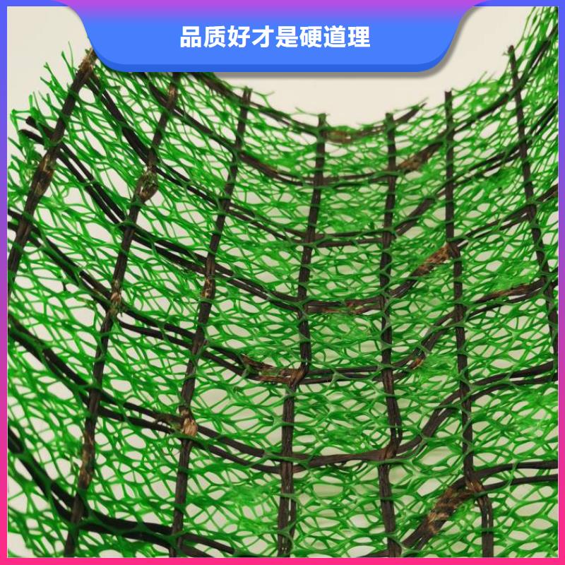 三維土工網墊價格-生產廠家