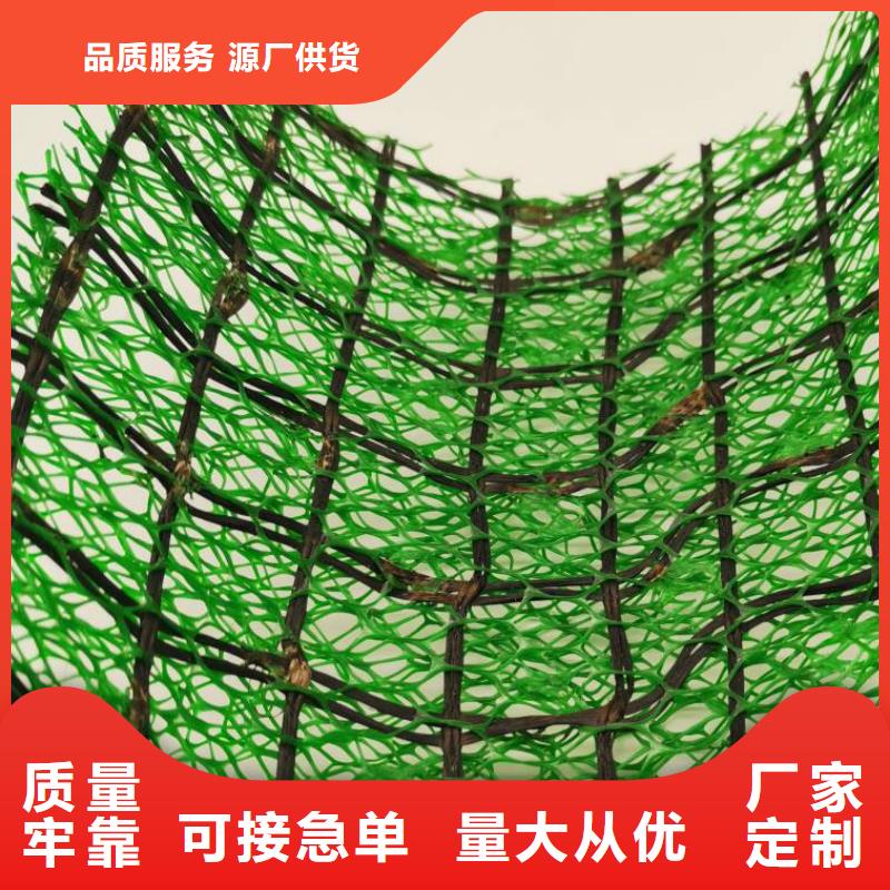 三維植被網(wǎng)_防護(hù)虹吸排水收集系統(tǒng)物美價(jià)優(yōu)