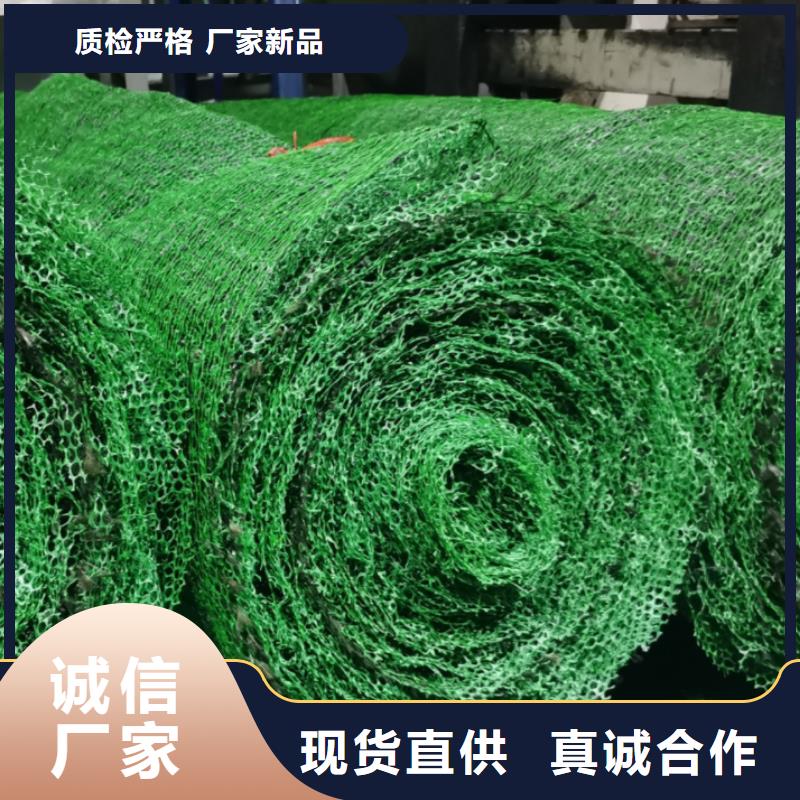 三维植被网植草格国标检测放心购买