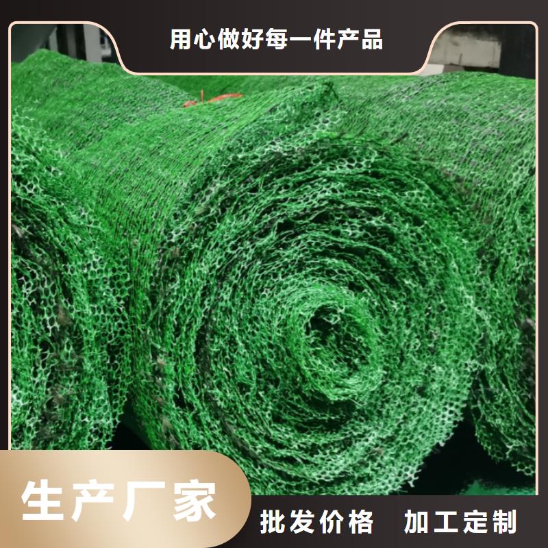三維植被網邊坡復綠