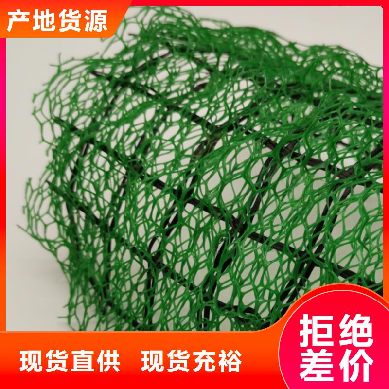 三维植被网【植草格】大库存无缺货危机