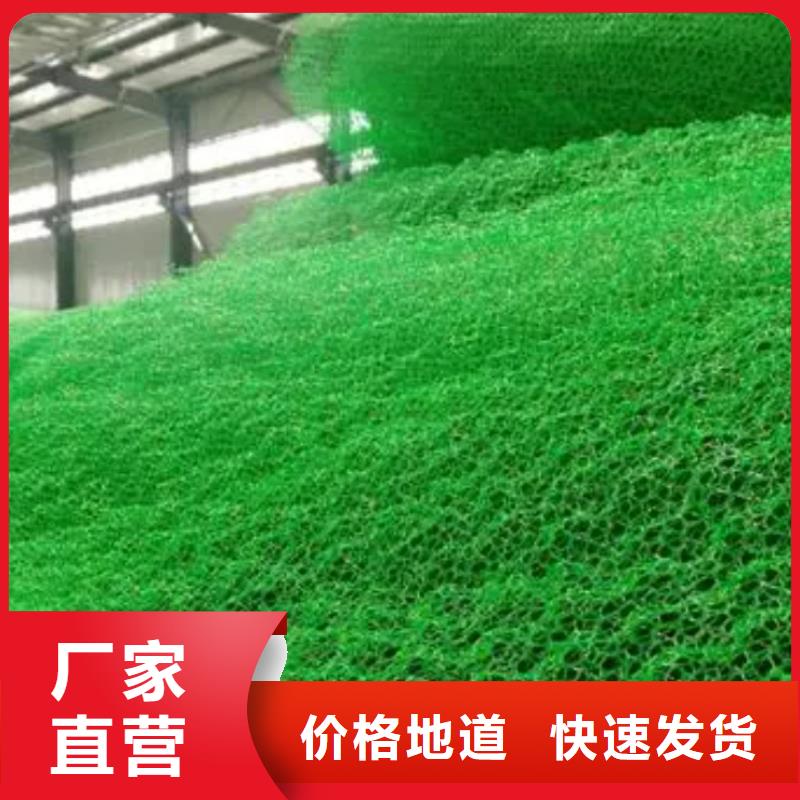 三維植被網水泥化糞池常年出售