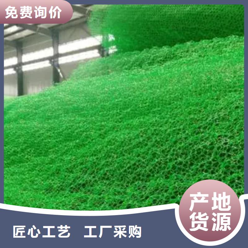 三維植被網【排水板】品質可靠