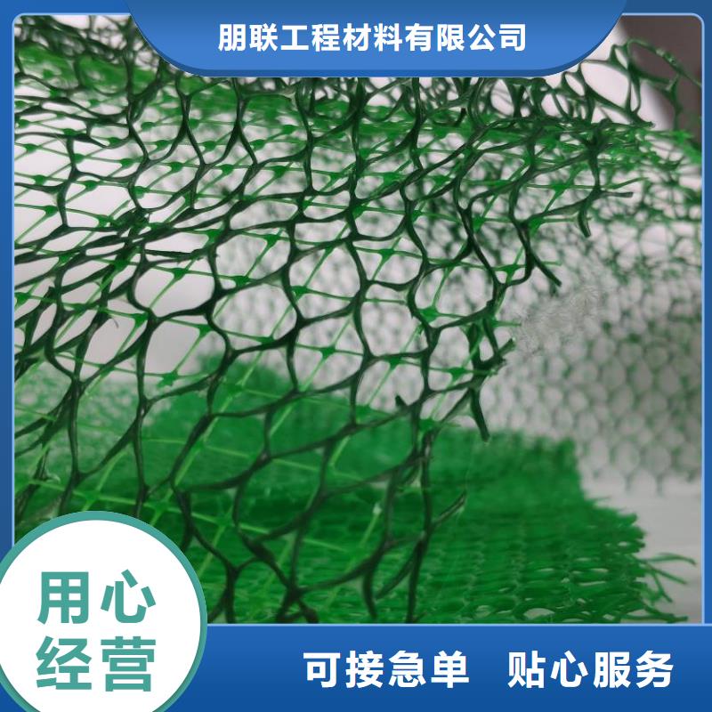 三維植被網-植草格今年新款