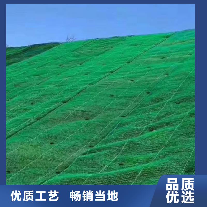 三維植被網_水泥化糞池支持定制批發