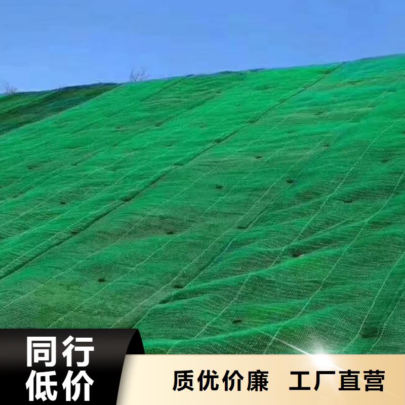 護坡土工網本地工廠直營