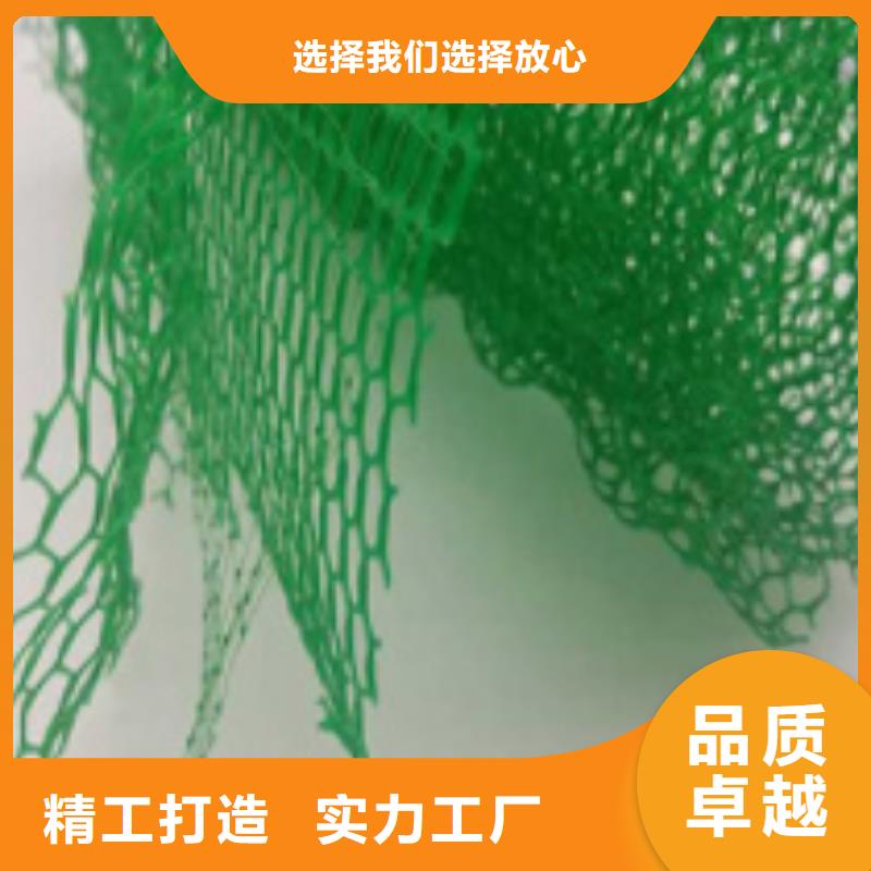 【三維植被網】水泥化糞池精品選購