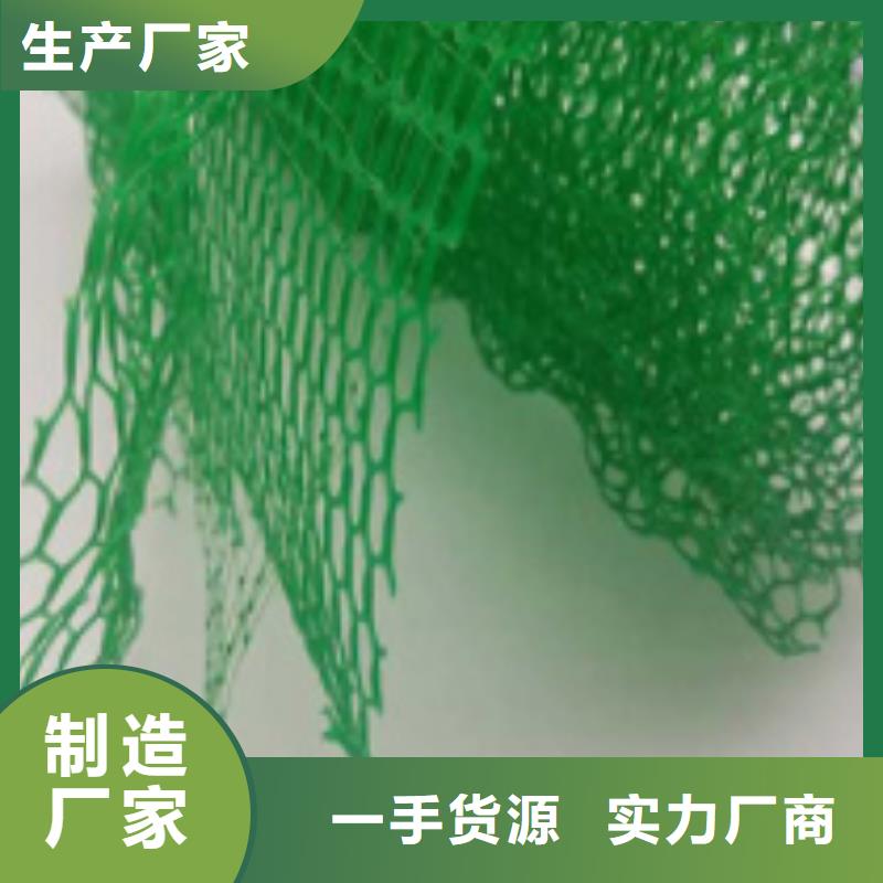 三維植被網水泥化糞池常年出售