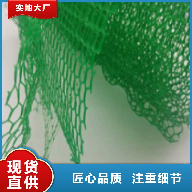 三维植被网_【防护虹吸排水收集系统】工厂自营当地品牌