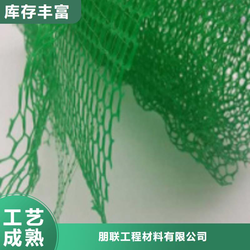 【三維植被網】植草格多年行業積累