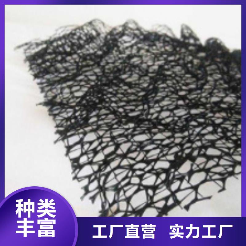 三維土工網墊閃電發貨