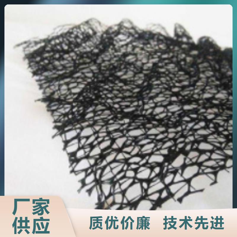 三維植被網(wǎng)價(jià)格-生產(chǎn)廠家