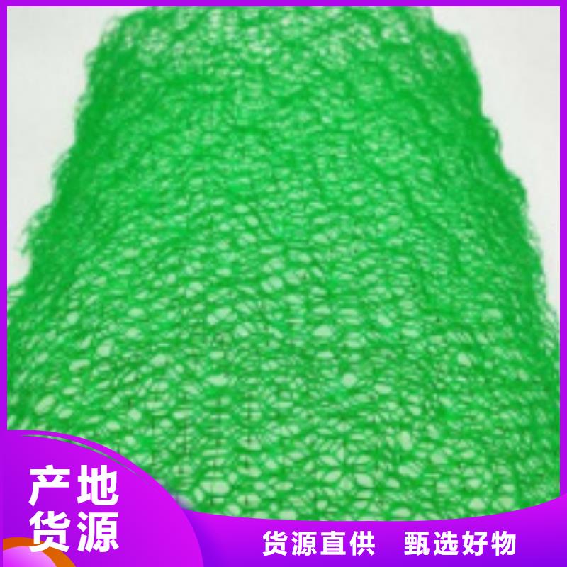 三维植被网_防护虹吸排水收集系统大库存无缺货危机
