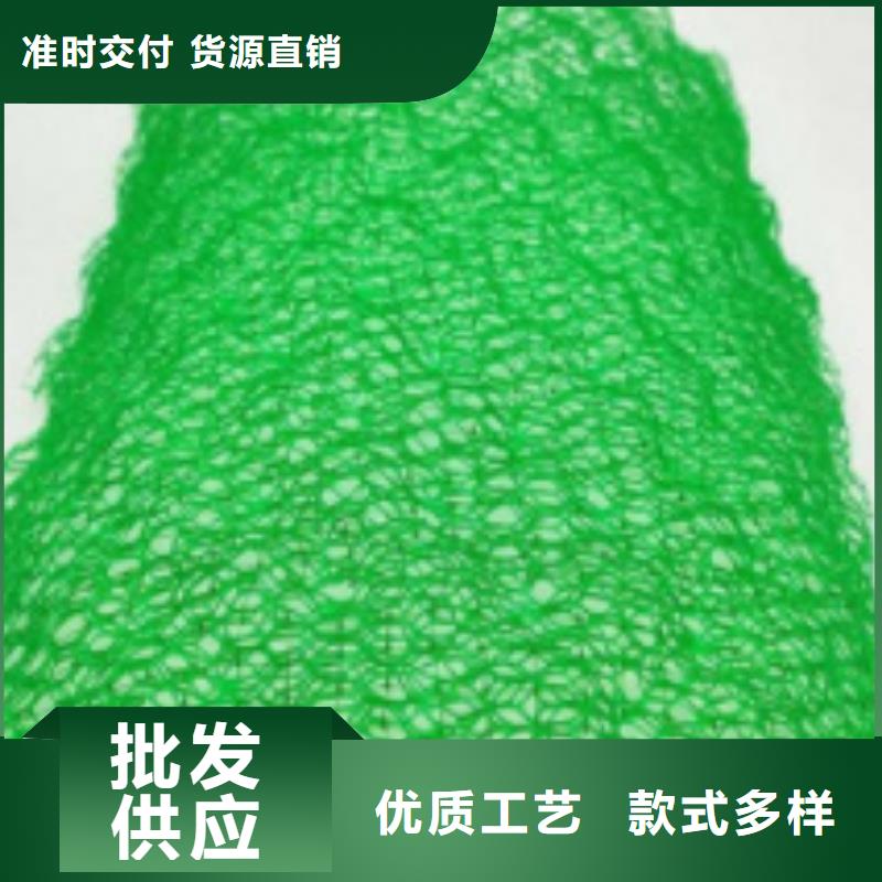 三維土工網(wǎng)墊型號(hào)全_全國(guó)供應(yīng)