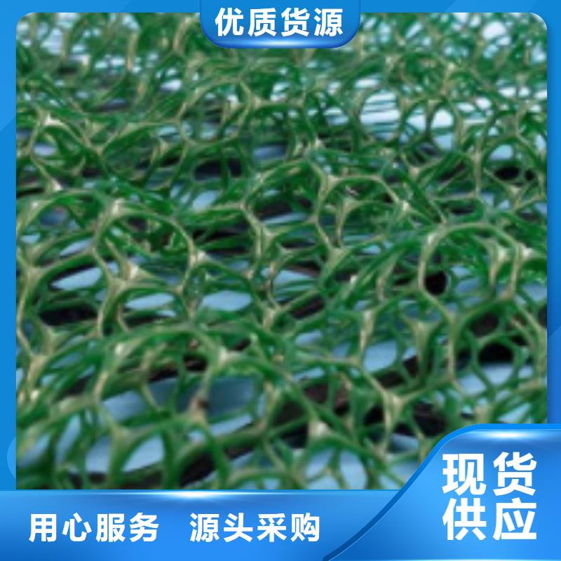 【三維植被網排水板廠家采購】