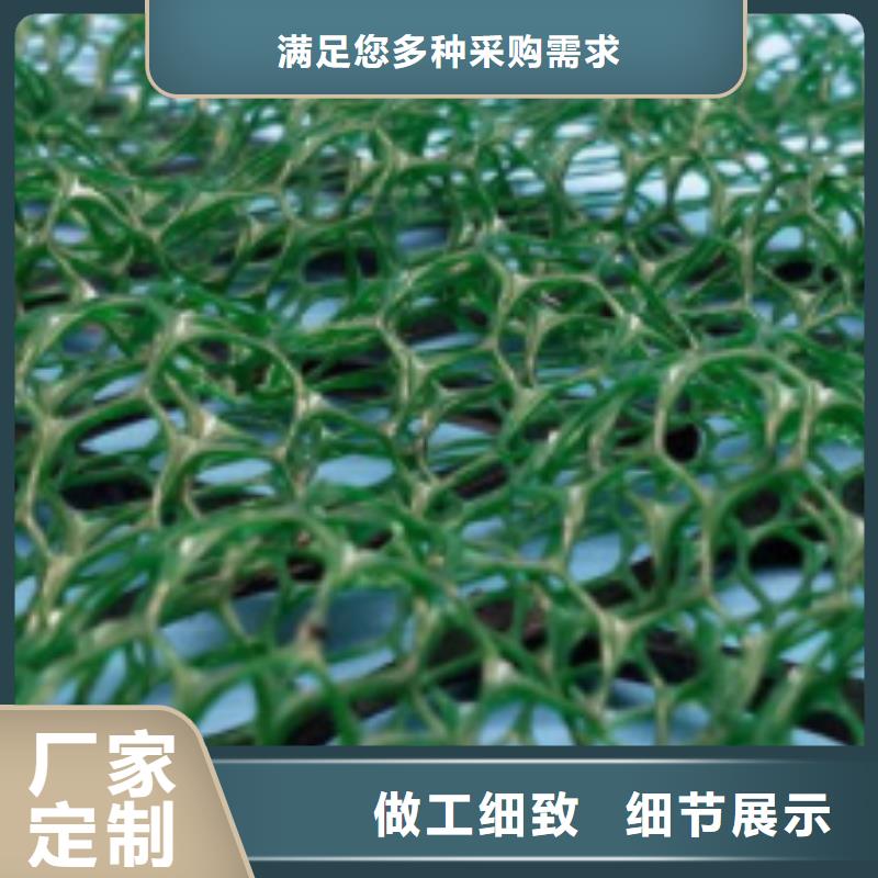 【三維植被網植草格廠家定制】