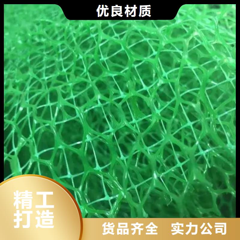 【三維植被網水泥化糞池追求品質】