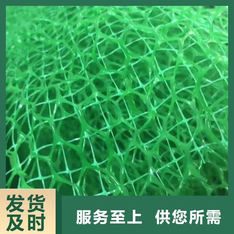 三维植被网水泥化粪池厂家案例