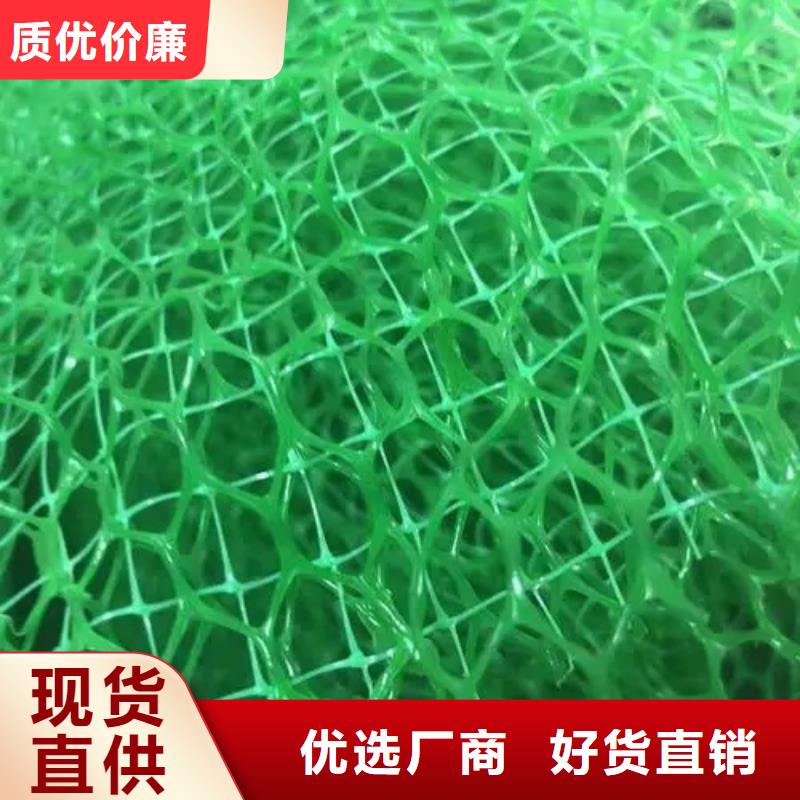 三维植被网植草格国标检测放心购买