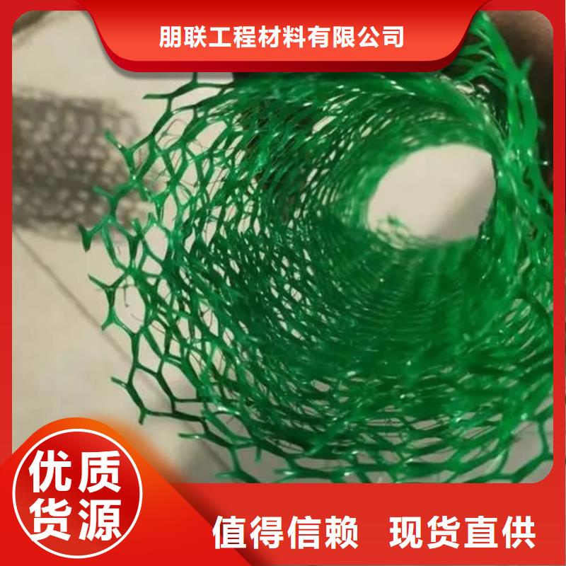 三維植被網(wǎng)排水板今日價格