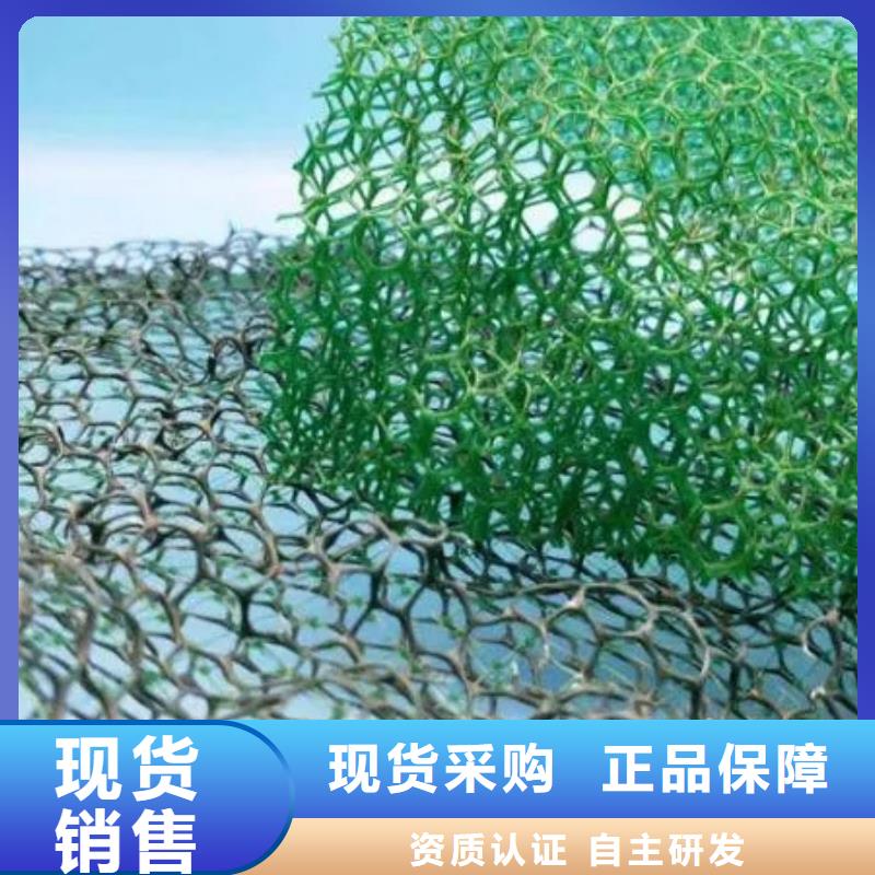 三維土工網(wǎng)墊型號全-新品發(fā)售