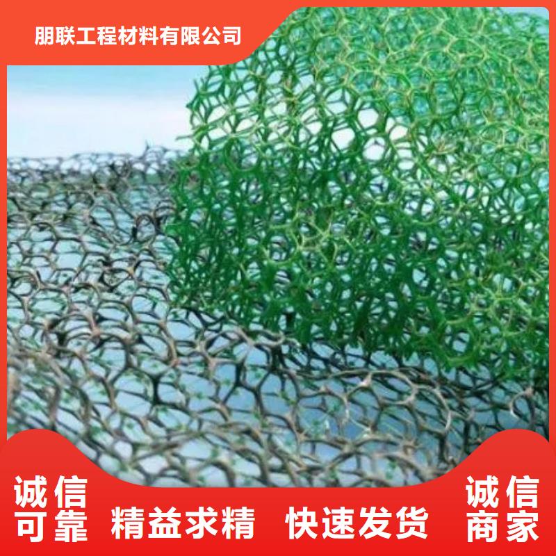 三維土工網墊工廠價