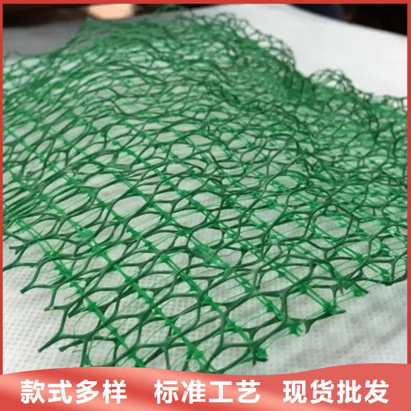 【三維植被網植草格廠家定制】