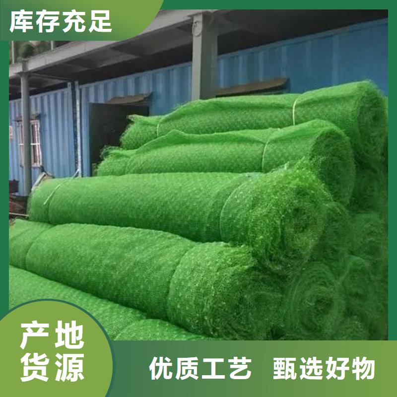 三維植被網(wǎng)邊坡復(fù)綠