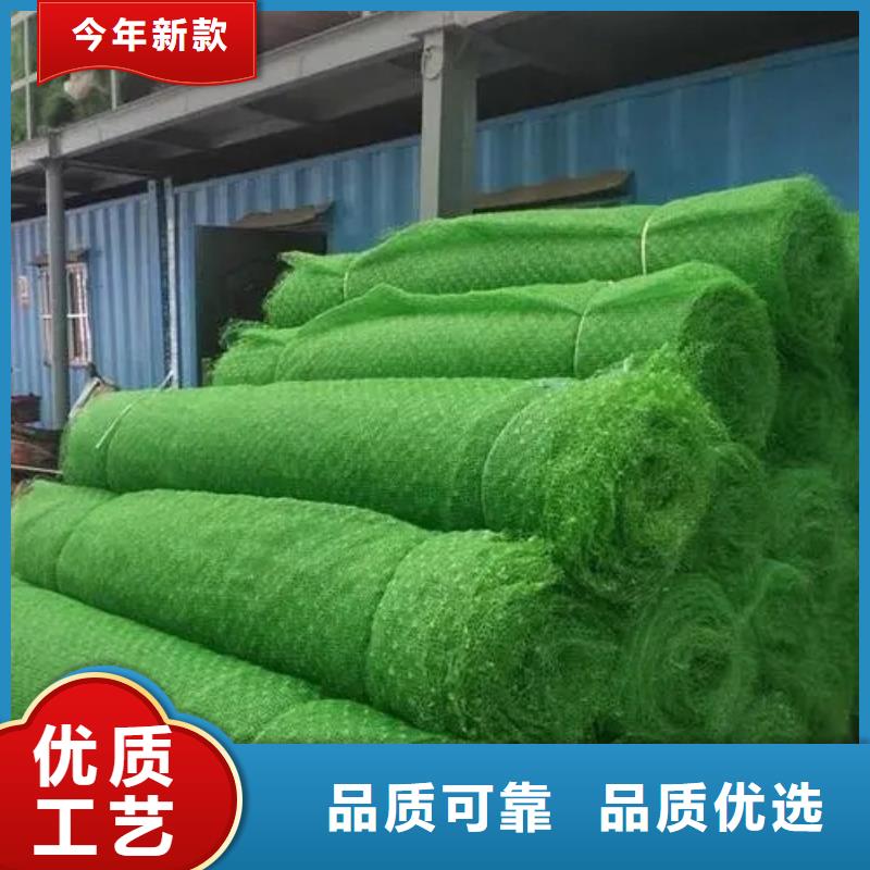 三維植被網(wǎng)排水板今日價格