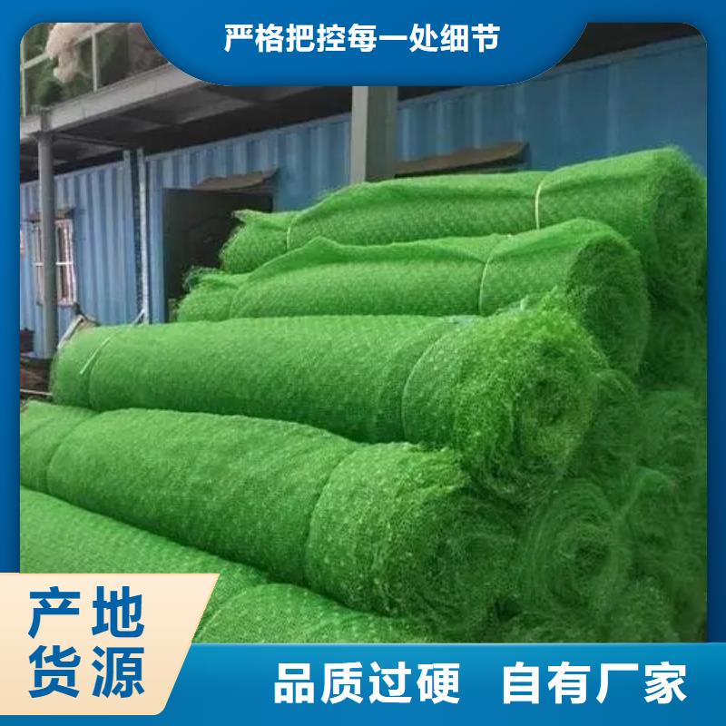 【三維植被網植草格產品細節】