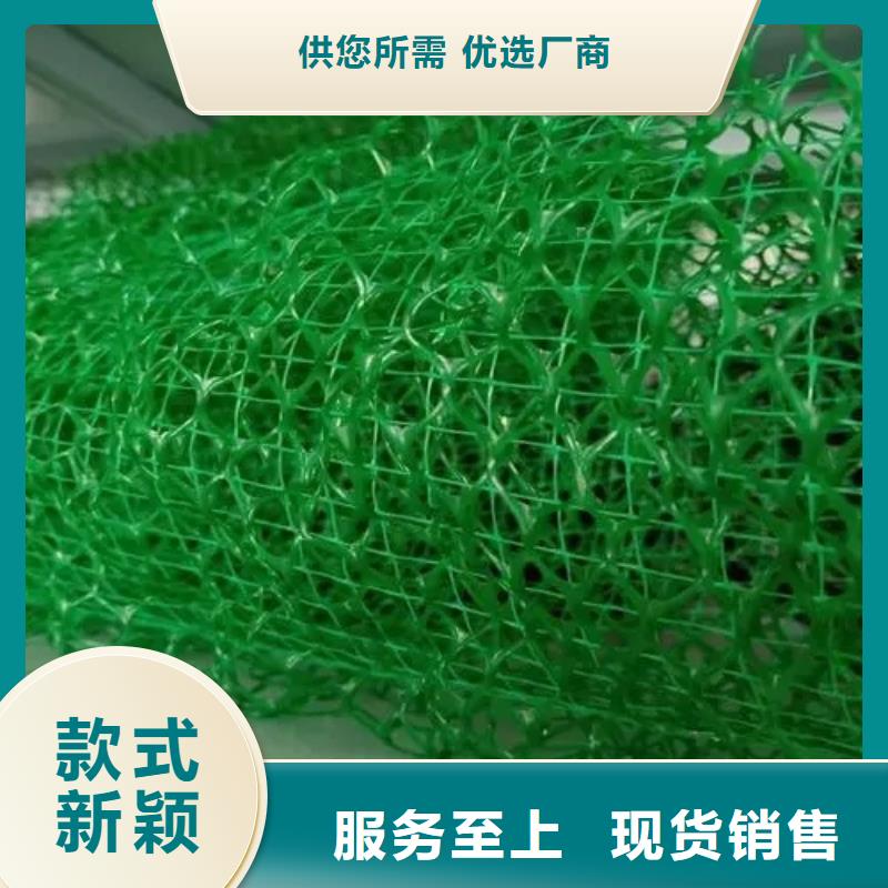 三維植被網(wǎng)【防護(hù)虹吸排水收集系統(tǒng)】支持定制加工